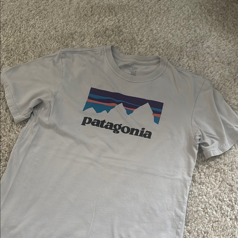 Patagonia Light Gray T-Shirt with Mountain Graphic
